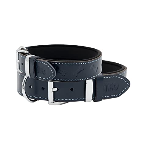 Teo Premium Pet Supplies Leder-Hundehalsband, verstellbar, langlebig, Haustierhalsbänder für Hunde mit atmungsaktivem, strapazierfähigem, rostfreiem Hundezubehör, Metallschnalle – (Marineblau, XL+) von Teo Premium Pet Supplies