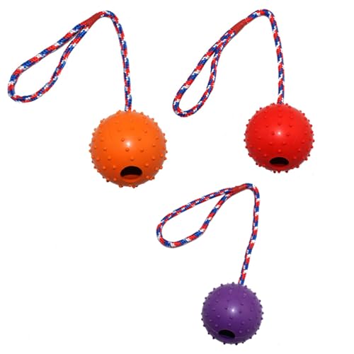 3 Stücke Dog Ball with String,Hunde Ball auf Seil Interaktiver Hunde Training Ball Hunde Spielzeug Ball auf Seil Belohnung Übung Spielzeug von Teogneot