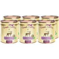 Terra Canis Classic | Wild mit Kürbis, Amaranth und Preiselbeere 6x 800g von Terra Canis