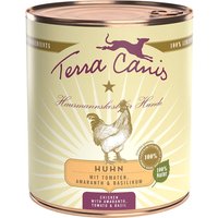 Sparpaket Terra Canis 12 x 800 g - Huhn mit Tomaten, Amaranth und Basilikum von Terra Canis