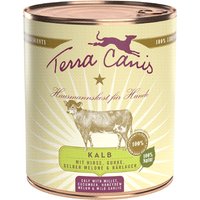 Sparpaket Terra Canis 12 x 800 g - Kalb mit Hirse, Gurke, gelber Melone & Bärlauch von Terra Canis