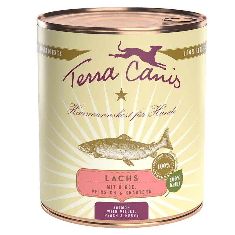 Sparpaket Terra Canis 12 x 800 g - Lachs mit Hirse, Pfirsich und Kräutern von Terra Canis