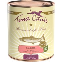 Sparpaket Terra Canis 12 x 800 g - Lachs mit Hirse, Pfirsich und Kräutern von Terra Canis