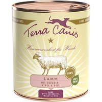 Sparpaket Terra Canis 12 x 800 g - Mix (Pute mit Brokkoli, Lamm) von Terra Canis