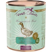 Sparpaket Terra Canis Getreidefrei 12 x 800 g - Ente mit Kürbis, Erdbeeren & Holunder von Terra Canis