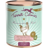 Sparpaket Terra Canis Getreidefrei 12 x 800 g - Huhn mit Pastinaken, Löwenzahn und Brombeeren von Terra Canis