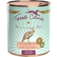 Sparpaket Terra Canis Getreidefrei 12 x 800 g - Pute mit Sellerie, Kürbis und Brunnenkresse von Terra Canis