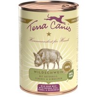 Terra Canis Classic Adult 6x400g Wildschwein mit Naturreis, Fenchel & Himbeeren von Terra Canis