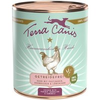 Terra Canis Getreidefrei Adult 6x800g Huhn mit Pastinaken, Brombeeren & Löwenzahn von Terra Canis