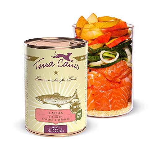 Terra Canis Lachs, Hirse, Pfirsich & Kräuter - Classic Nassfutter, 400g I Premium Hundefutter in 100% Lebensmittelqualität Aller Rohstoffe I Reichhaltig & gesund, allergen- & getreidearm, glutenfrei von Terra Canis