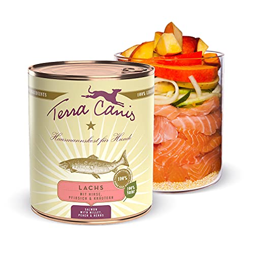 Terra Canis Lachs, Hirse, Pfirsich & Kräuter - Classic Nassfutter, 800g I Premium Hundefutter in 100% Lebensmittelqualität Aller Rohstoffe I Reichhaltig & gesund, allergen- & getreidearm, glutenfrei von Terra Canis