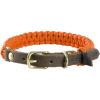 Terra Canis Molly und Stitch | Halsband - Pumpkin L von Terra Canis