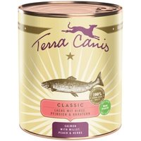 Terra Canis Nassfutter Hund Classic Adult Lachs 6x800 g von Terra Canis