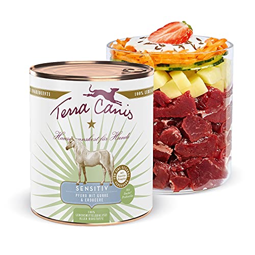 Terra Canis Pferd, Gurke & Erdbeere - Sensitiv Nassfutter, 800g I Premium Hundefutter für verdauungssensible Hunde I Allergenfrei, getreidearm & leicht verdaulich von Terra Canis