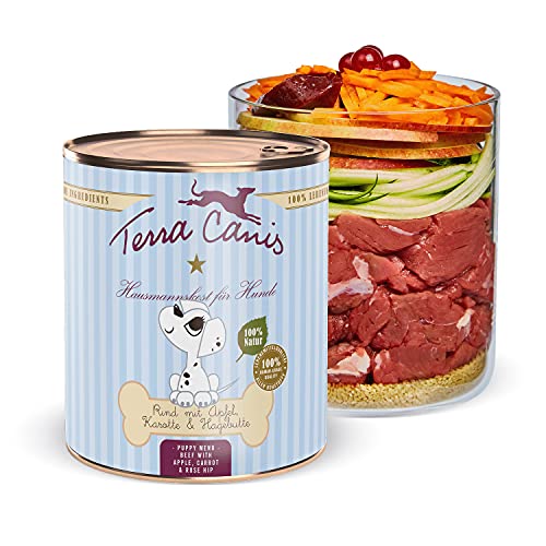 Terra Canis Rind, Apfel, Hagebutte & Karotte - Welpen Nassfutter, 800g I Premium Hundefutter in 100% Lebensmittelqualität Aller Rohstoffe I Reichhaltig & gesund I Allergenarm, Getreide - & glutenfrei von Terra Canis