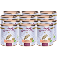 Terra Canis Senior | Pute mit Papaya, Brokkoli und Gesundheitskräutern 12x 800g von Terra Canis