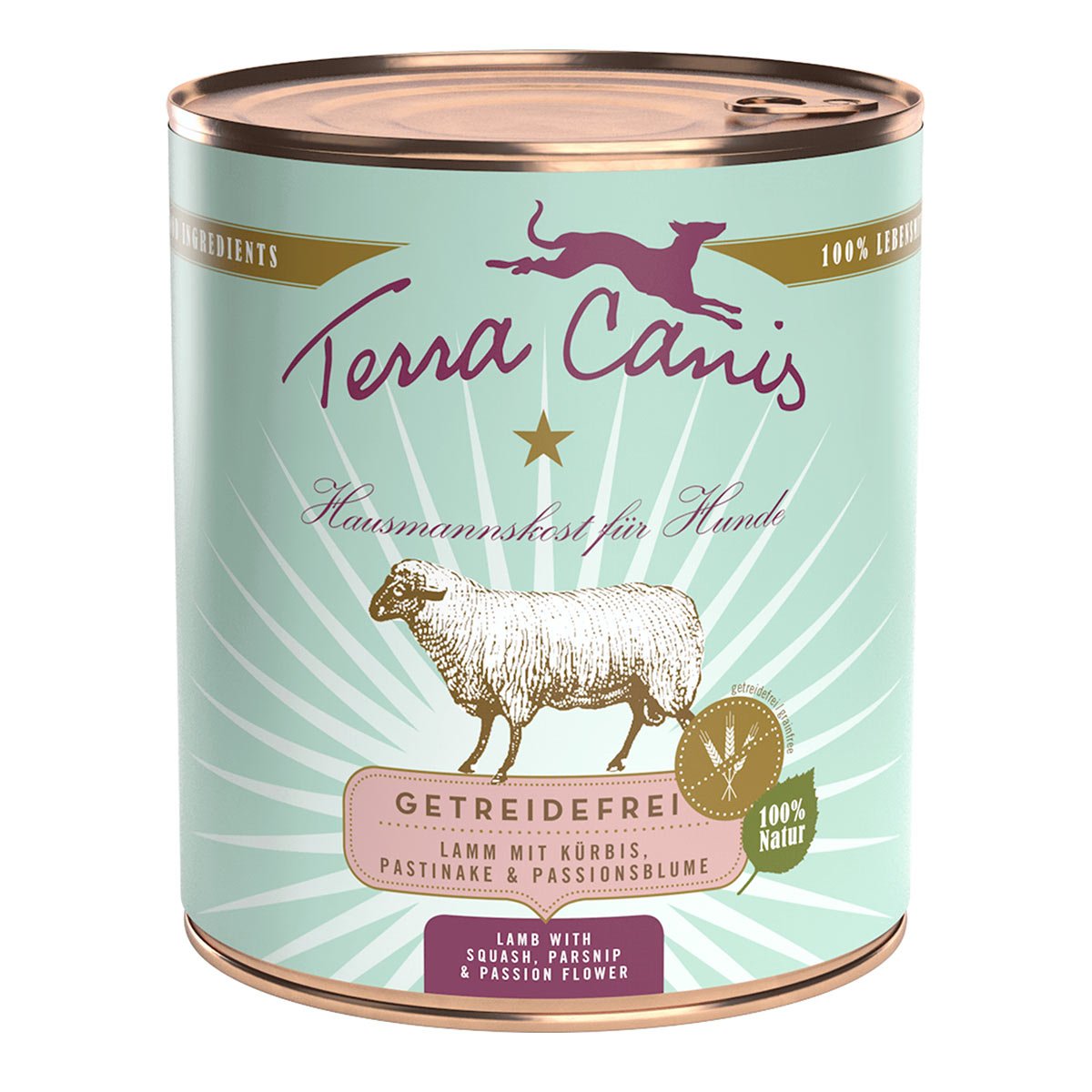 Terra Canis getreidefrei Lamm mit Kürbis 6x800g von Terra Canis