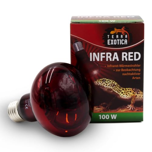 Infra Red 100 Watt Rotlichtlampe für Reptilien - Infrarot Terrarium Wärmelampe für Eidechsen, Schildkröten, Vogelspinnen, Küken, Kaninchen von Terra Exotica