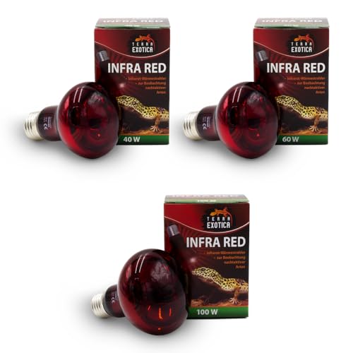 Infra Red 40 Watt Rotlichtlampe für Reptilien - Infrarot Terrarium Wärmelampe für Eidechsen, Schildkröten, Vogelspinnen, Küken, Kaninchen von Terra Exotica