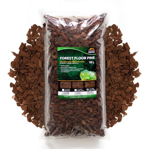 Terra Exotica Forest Floor Pine 10/20 Liter in fein, mittel, grob - Pinienrinde als Einstreu für Terrarien - Terrarienbodengrund für Reptilien, Amphibien und Insekten (10 Liter, grob) von Terra Exotica