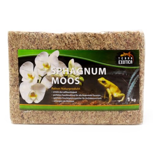 Terra Exotica Sphagnum Moos (1 Kg) Torfmoos für Garten-, Zimmerpflanzen & Terrarien von Terra Exotica