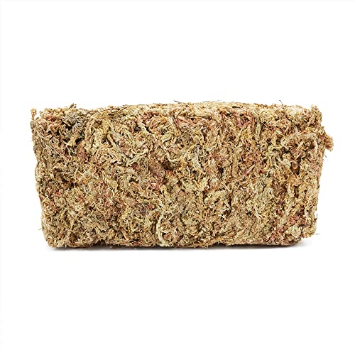 Terra Exotica Sphagnum Moos in (300g, 1 Kg, 3 Kg oder 5 Kg) Torfmoos für Garten-, Zimmerpflanzen & Terrarien (500 g) von Terra Exotica