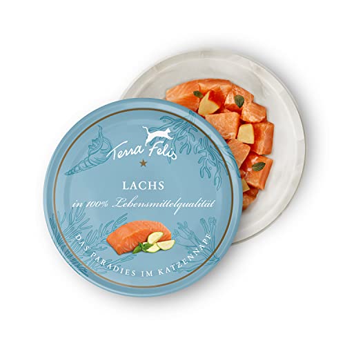 TERRA FELIS Lachs, Mono-Protein Nassfutter, 80g I Premium Katzennahrung in 100% Lebensmittelqualität Aller Rohstoffe I Hohe Akzeptanz, 90% Fleischanteil, getreidefrei I Alleinfuttermittel von Terra Felis