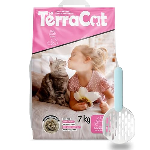 Terracat Katzenzubehör Erstausstattung: Katzenklo mit Deckel - Katzenstreu Klumpstreu - Katzenklo Matte - Katzenklo Schaufel ; Katzentoiletten & Zubehör Set (9L (Pack of 2), Baby Powder) von Terracat