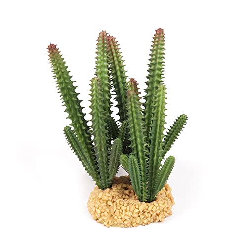 Terratlantis TD Cactus von Terratlantis