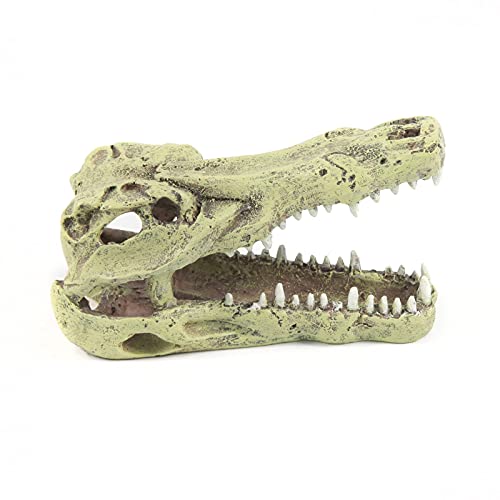 Terratlantis TD Crocodile Head 13,5Cm von Terratlantis