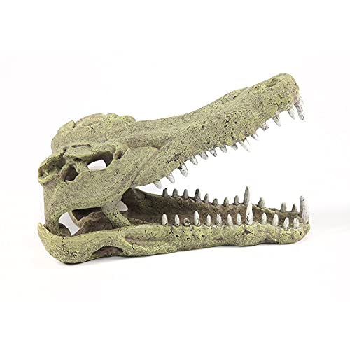 Terratlantis TD Crocodile Head 32,5Cm von Terratlantis