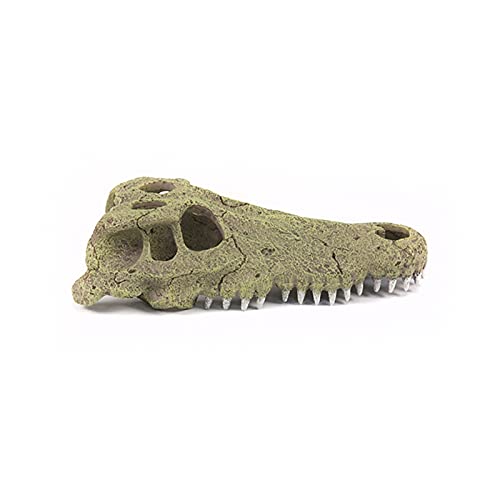 Terratlantis TD Half Crocodile Head von Terratlantis