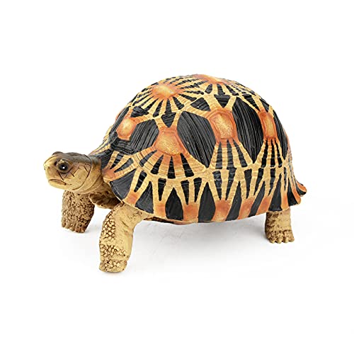 Terratlantis TD Radiated Turtle von Terratlantis