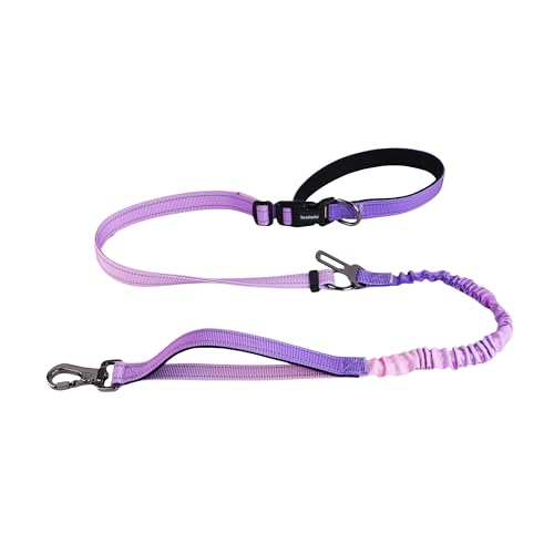 Hundeleine für kleine, mittelgroße und große Hunde, verstellbare Länge, keine Hände, Bungee-Hundeleine, Cross-Body, Schulter- und Taillenleine für Spaziergänge und Training (Gradient Dream Purple) von Tesitehi