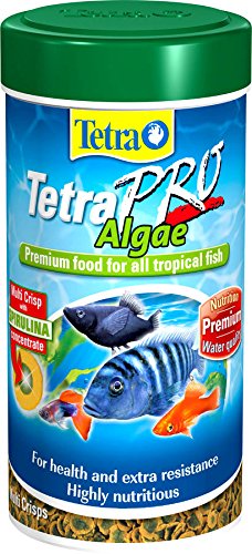 TETRA Pro Algen 95 g / 500 ml von Tetra