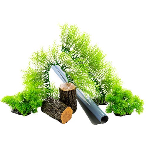 Tetra® Connect™ Forest Décor Bundle von Tetra