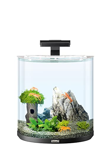 Tetra Explorer Line 30 L Aquarium Komplett-Set - Design Aquarium mit gebogener Frontscheibe, LED-Beleuchtung, Technik, Futter und Pflegemitteln, Farbe: Schwarz von Tetra