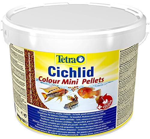 Tetra Cichlid Colour Mini Pellets (Spezialfutter für alles- und fleischfressende kleinere Cichliden, Hauptfutter für leuchtende Farben bei allen roten, orangen und gelben Buntbarschen), 10 Liter Eimer von Tetra