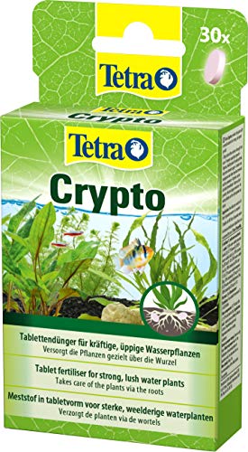 Tetra Crypto Düngetabletten - für üppige und gesunde Wurzelbildung der Wasserpflanzen im Aquarium, 30 Tabletten von Tetra