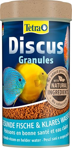 Tetra Discus Granules - Fischfutter für alle Diskusfische, fördert Gesundheit, Farbenpracht und Wachstum, 250 ml Dose von Tetra