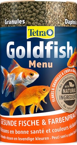 Tetra Goldfish Menu - 4in1 Fischfutter-Mix mit Crisps, Flocken, Granulat und Daphnien für alle Goldfische und andere Kaltwasserfische, 250 ml Dose von Tetra