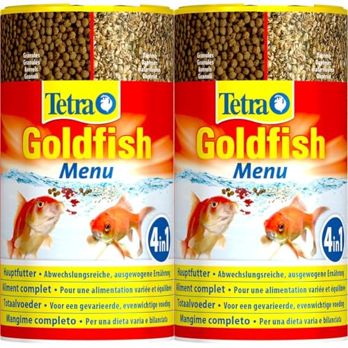 Tetra Goldfish Menu - 4in1 Fischfutter-Mix mit Crisps, Flocken, Granulat und Daphnien für alle Goldfische und andere Kaltwasserfische, 250 ml Dose (Packung mit 2) von Tetra