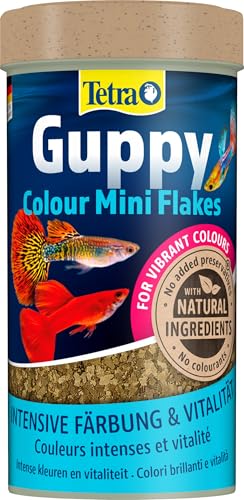 Tetra Guppy Colour Mini Flakes - Fischfutter für alle Guppys, feines Flockenfutter für kräftige Farben, 250 ml Dose von Tetra