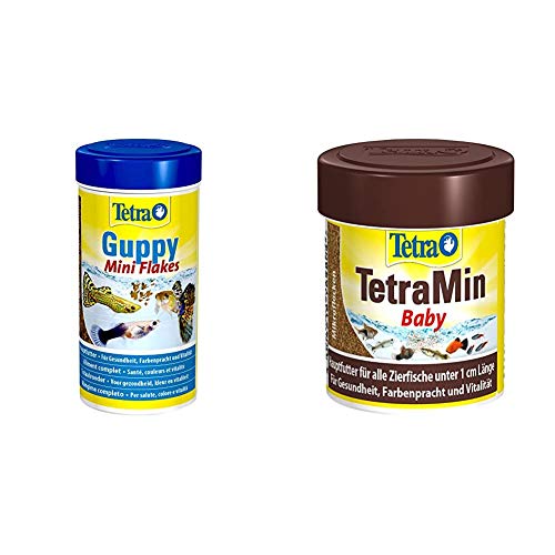 Tetra Guppy Mini Flakes, ausgewogenes, nährstoffreiches Flockenfutter für Guppies, Verschiedene Sorten & in Baby (spezielles Wachstumsfutter für die Zierfischbrut bis 1 cm Länge), 66 ml Dose von Tetra