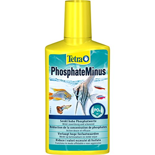 Tetra PhosphateMinus - senkt schonend und zuverlässig den Algennährstoff Phosphat im Aquarium, 250 ml von Tetra