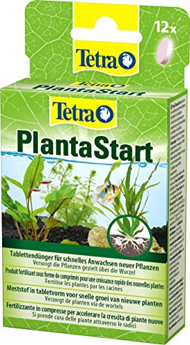 Tetra PlantaStart Düngetabletten (für prächtige Wasserpflanzen im Aquarium, fördert die Wurzelbildung, ideal bei Neu- oder Umpflanzung), 12 Tabletten von Tetra