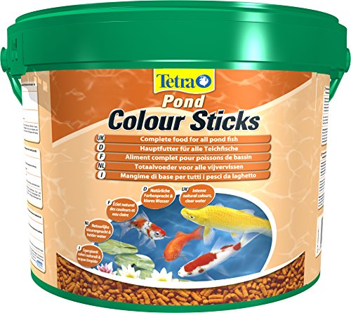 Tetra Pond Colour Sticks (Hauptfutter zur Entfaltung der natürlichen Farbenpracht aller Teichfische), 10 Liter Eimer von Tetra