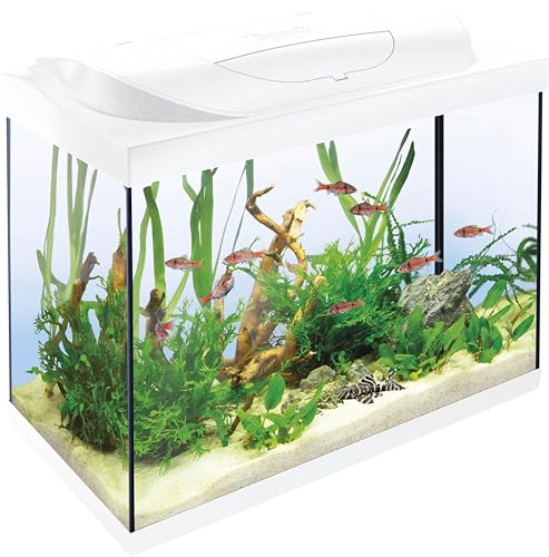 Tetra Starter Line 80 L Aquarium Weiß, Komplett-Set - inkl. Tag- & Nachtlicht LED-Beleuchtung, Innenfilter, Heizer, Fischfutter und Wasseraufbereiter von Tetra