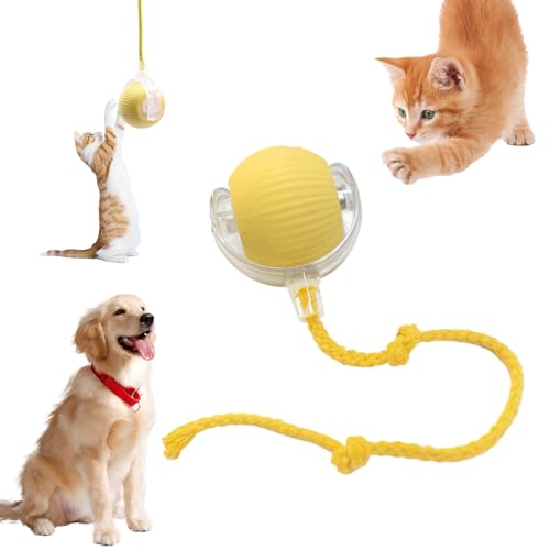 Chewie Viraler Rollball, interaktiver Katzenspielzeug-Ball für Innen, interaktiver selbstrollender Ball, Hundeball, automatisches Katzenspielzeug, 360 Grad intelligenter automatischer rollender von Tewloss