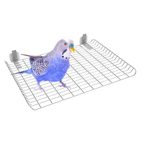 Vogel Sitzstange,Edelstahl-Ständer Für Ziervögel - Spielzeug Zur Bewegung Und Beschäftigung Für Kleine, Mittelgroße Und Große Vogelarten Vogel Sitzstange,Edelstahl-Ständer Für Ziervögel - Spielzeug Zur Bewegung Und Beschäftigung Für Kleine, Mittelgroße Und Große Vogelarten von Tewzafiya